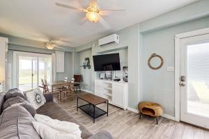 Lost Colony Lost Sea Turtle