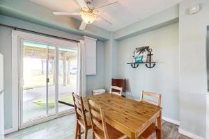 Lost Colony Lost Sea Turtle