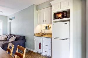 Lost Colony Lost Sea Turtle