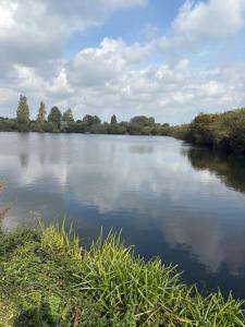 The Restful Rose at Chichester Lakeside