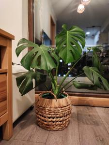 Departamento 1 dormitorio, terraza