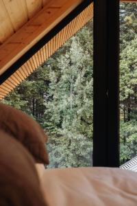 Honey House Wierchy- prywatna strefa SPA