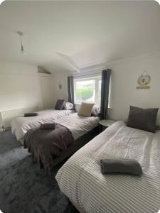 Contractor Friendly with Free Private Parking and Wi-Fi