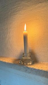 Hännänpää - TailTip