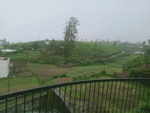 Moonstone Apartment Nuwaraeliya