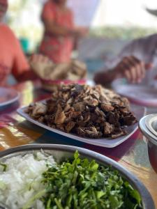 Tortuga Bay TBB 2502