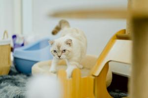 B2 Romance Resort บีสแควร์ โรแมนซ์ รีสอร์ท