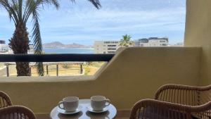 Oceanview Condo in Cabo with Beach - Pool