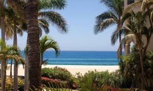 Las Mañanitas LM C209