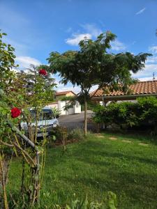Chez Patricia en Beaujolais