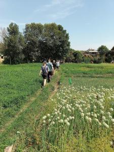 Hameri Homestay- Room 2