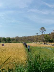 Hameri Homestay- Room 2