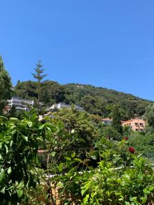 Cosy 2 pièces proche mer et monaco