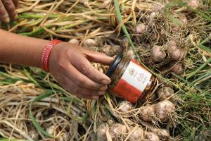 Hameri Homestay- Room 2