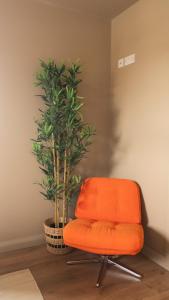 Luxury Studio Apartment - Belfast - Dundonald