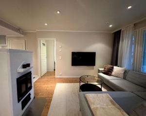 Cozy and peaceful holiday apartment in Levi