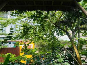 Small Family Homestay