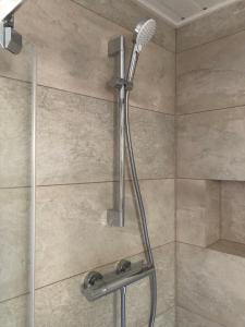 Bieszczadzka tarnina