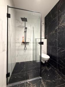 Piata Unirii Apartment 1