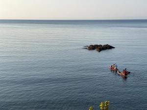 Maison charmante, pied dans leau