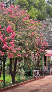 Green Leaf Nature HomeStay