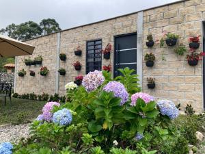Mambe refugio- Cabaña El Olivo
