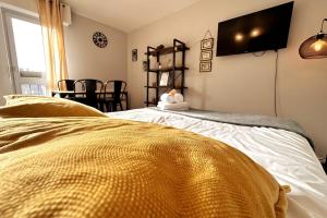 Lion - Centre-ville - MA CONCIERGERIE