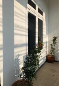 NOWORRIES Banyuwangi