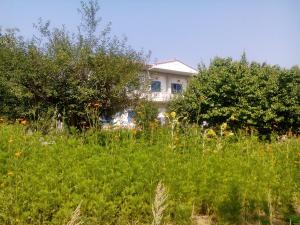 Guesthouse Karidia Lesvos Greece