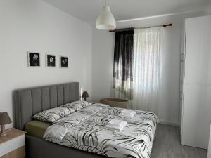 Apartment Center Korça