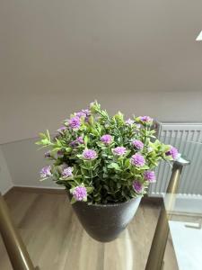 Family Apartments Zemlinsi 2