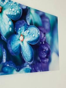 Family Apartments Zemlinsi 2