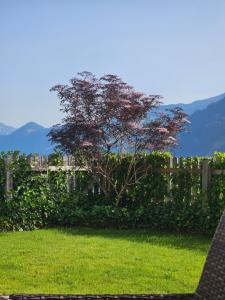 Apart bianca Zillertal