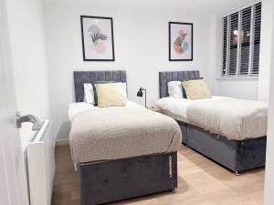 The Apollo Apartments