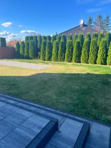 Angela 的度假别墅