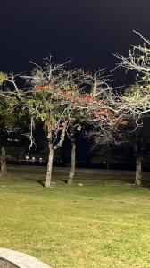 condominio araguaia tocantis