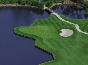 Book Me Baby! Tee By The Sea at Sandestin Resort