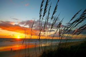 Beachfront Luxury with Spectacular Ocean Views!