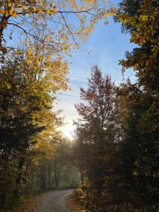 Osobie - dom z widokiem na góry