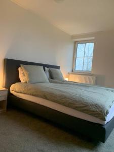 Holiday home at the edge of Frisian lake