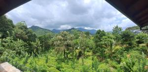 Alankara Nature Resort