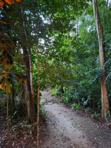 Kitnet Torre Trancoso