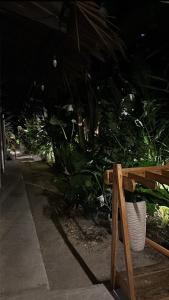 Paradiso Hostel Siargao