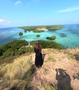 Whaleshark open trip