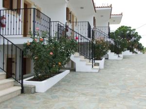 Skiathos Diamond Skiathos Greece