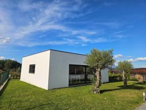 Casa dos Mirtilos Duke T8