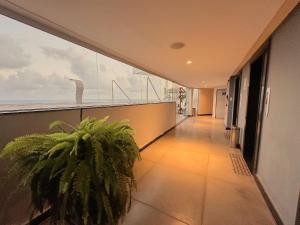 Boho Luxo Sunset | Hidro, Alexa Top de linha & +