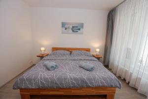 Modern Apartment • Garden • Near The City Center