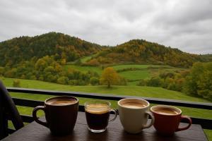 Cabana 3 Stejari Maramureș