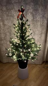 Rentola Lapland a peaceful and cozy cottage